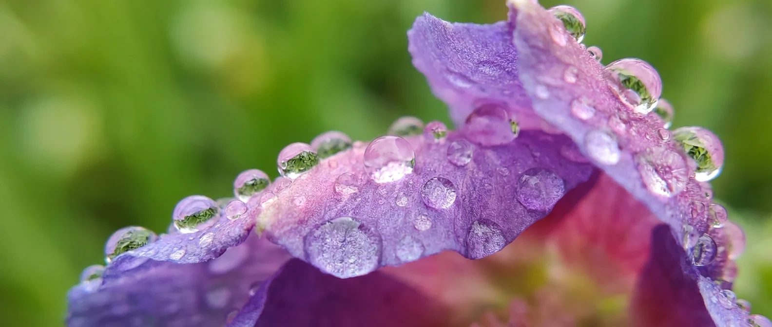 Macro φωτογραφία σταγόνας νερού τραβηγμένη με iPhone από κοντινή απόσταση